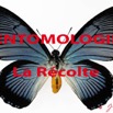001 Titre Photos Entomologie Recolte.jpg