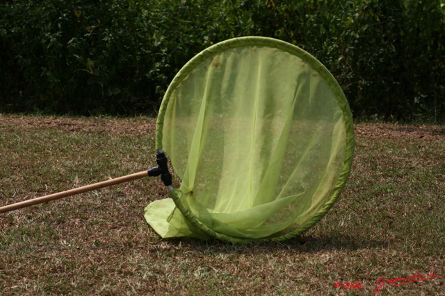 002 Entomologie Filet Papillon 8EIMG_22400WTMK.jpg