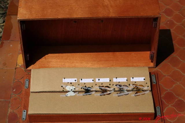 013 Entomologie Etaloir 8EIMG_22392WTMK.JPG