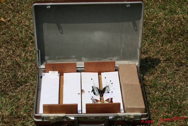 014 Entomologie Etaloir Malette 8EIMG_22401WTMK.JPG