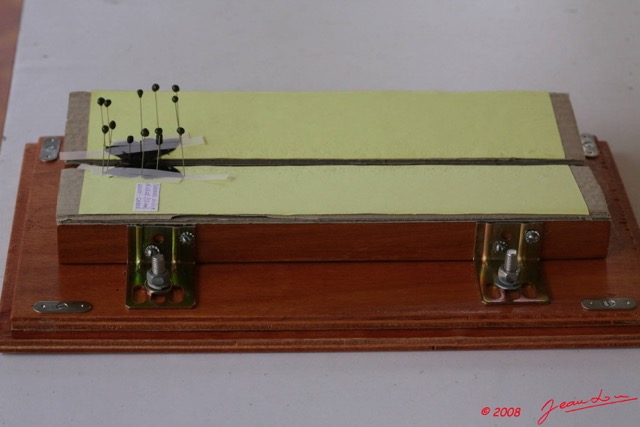 017 Entomologie Etaloir 8EIMG_22379WTMK.JPG