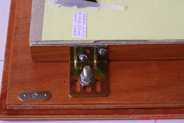 018 Entomologie Etaloir 8EIMG_22378WTMK.JPG