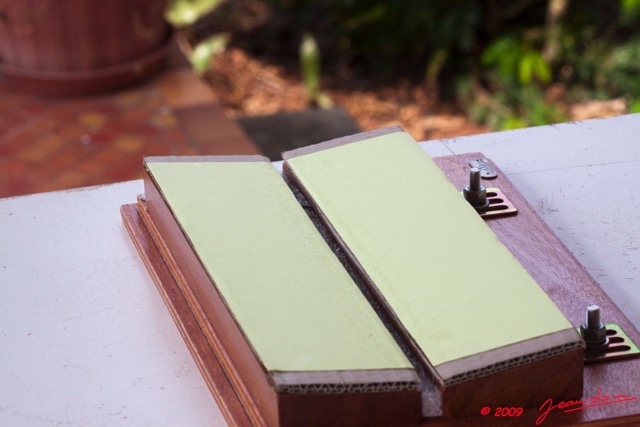 020 Entomologie Etalement Papillon par JLA 9E50IMG_31607wtmk.jpg