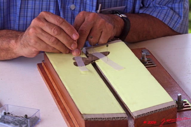 024 Entomologie Etalement Papillon par JLA 9E50IMG_31614wtmk.jpg