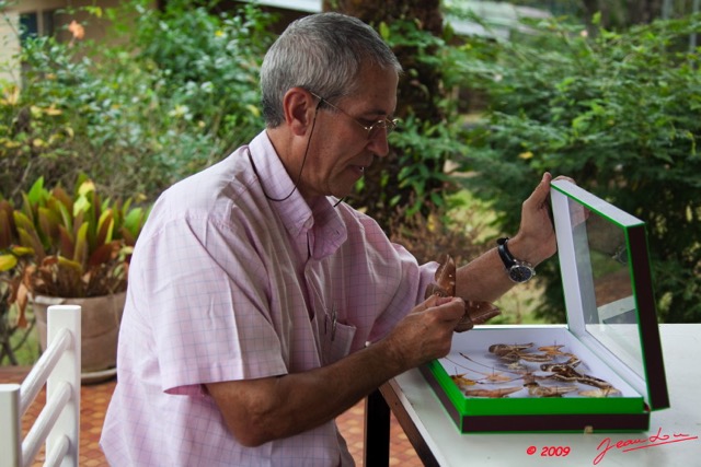 035 Papillons Conception Boite par JLA 9E5KIMG_51871wtmk.jpg